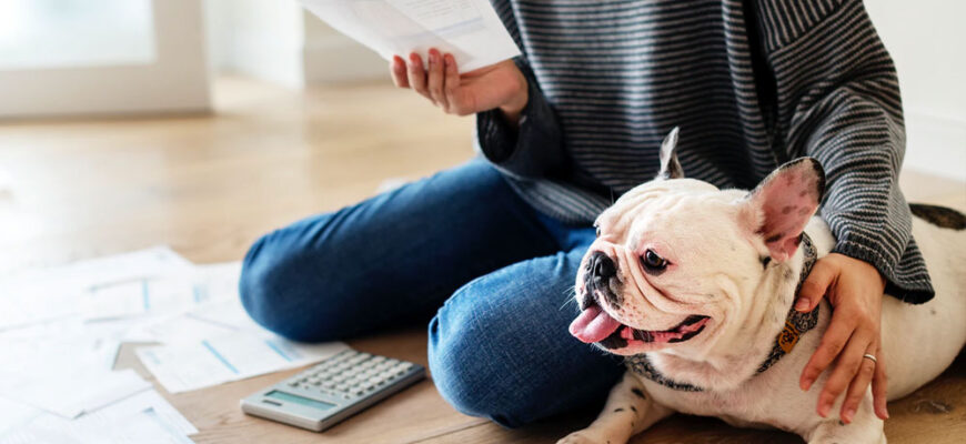 Учет личных финансов