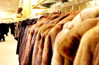 Как выбрать шубу правильно: инфографика