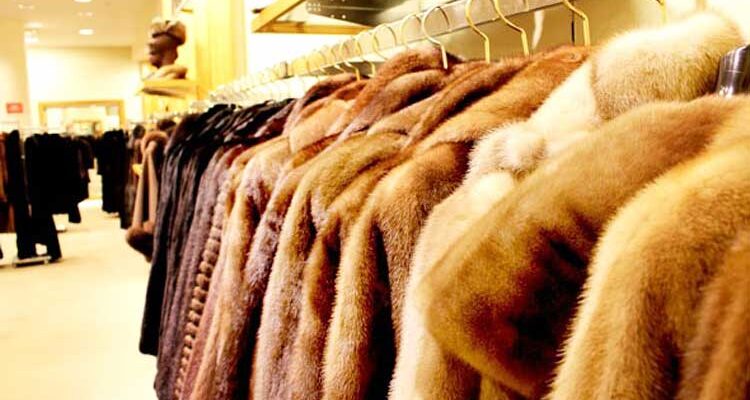 Как выбрать шубу правильно: инфографика