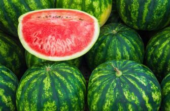 Как правильно выбрать спелый арбуз