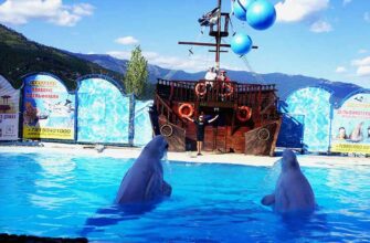 Как развлечься в Ялте